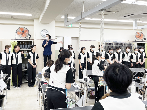 ☆先輩のトリミングを見学☆